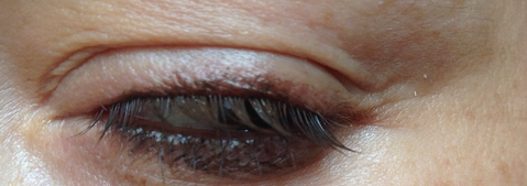 Fairfood nơi bạn tìm thấy những gì tinh túy của tự nhiên 