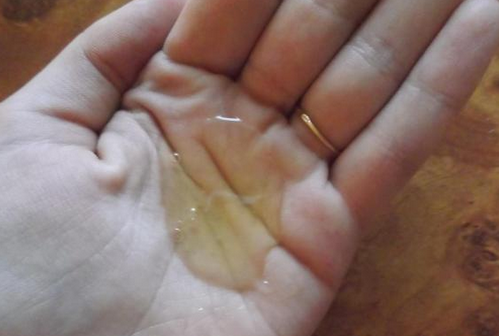 Fairfood nơi bạn tìm thấy những gì tinh túy của tự nhiên 