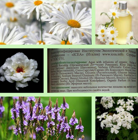 Fairfood nơi bạn tìm thấy những gì tinh túy của tự nhiên 