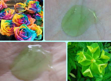 Fairfood nơi bạn tìm thấy những gì tinh túy của tự nhiên 