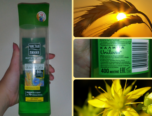 Fairfood nơi bạn tìm thấy những gì tinh túy của tự nhiên 