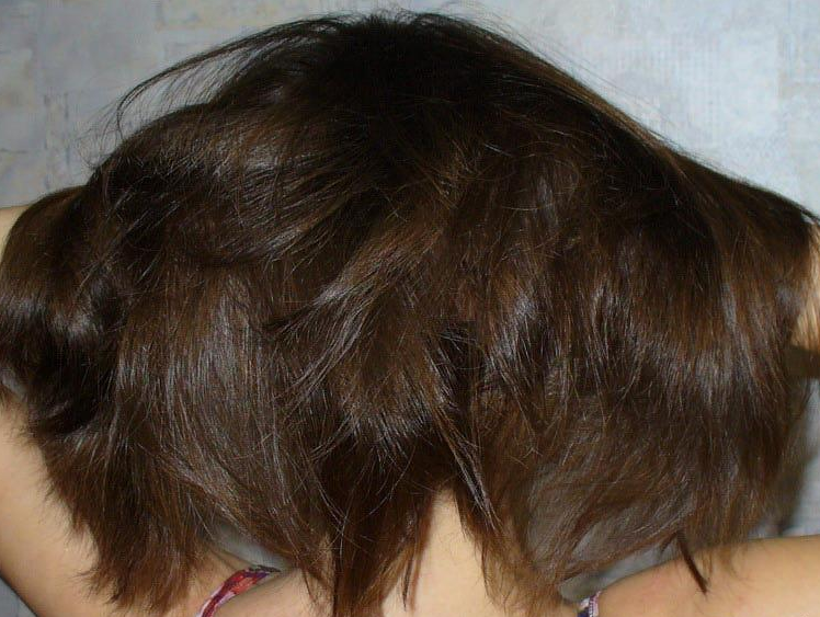 Fairfood nơi bạn tìm thấy những gì tinh túy của tự nhiên 