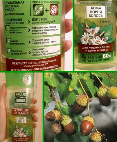 Fairfood nơi bạn tìm thấy những gì tinh túy của tự nhiên 