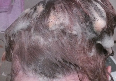 Fairfood nơi bạn tìm thấy những gì tinh túy của tự nhiên 