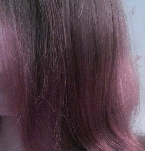 Fairfood nơi bạn tìm thấy những gì tinh túy của tự nhiên 