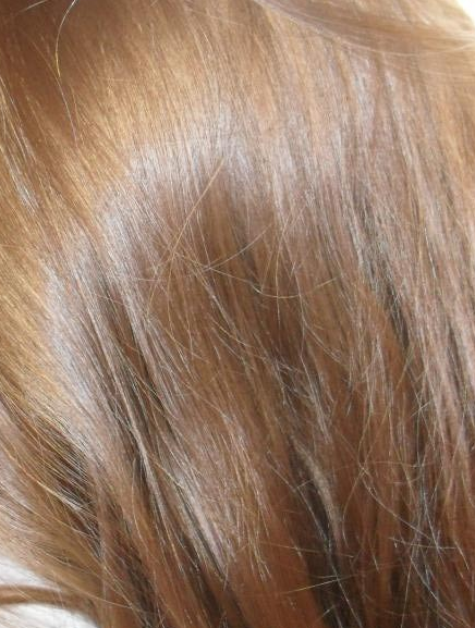 Fairfood nơi bạn tìm thấy những gì tinh túy của tự nhiên 