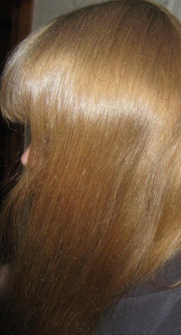 Fairfood nơi bạn tìm thấy những gì tinh túy của tự nhiên 