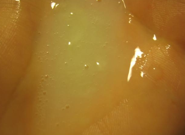 Fairfood nơi bạn tìm thấy những gì tinh túy của tự nhiên 