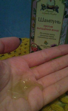 Fairfood nơi bạn tìm thấy những gì tinh túy của tự nhiên 