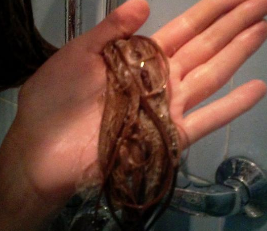 Fairfood nơi bạn tìm thấy những gì tinh túy của tự nhiên 