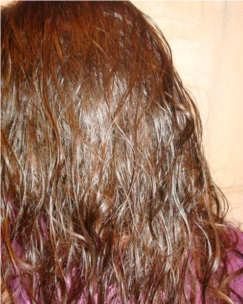 Fairfood nơi bạn tìm thấy những gì tinh túy của tự nhiên 