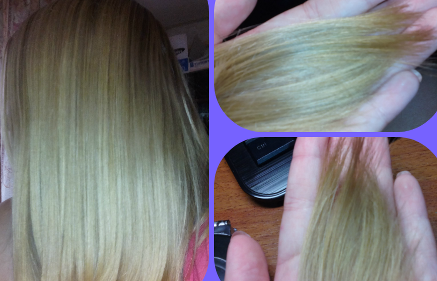 Fairfood nơi bạn tìm thấy những gì tinh túy của tự nhiên 