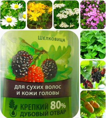 Fairfood nơi bạn tìm thấy những gì tinh túy của tự nhiên 