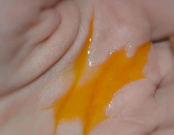 Fairfood nơi bạn tìm thấy những gì tinh túy của tự nhiên 