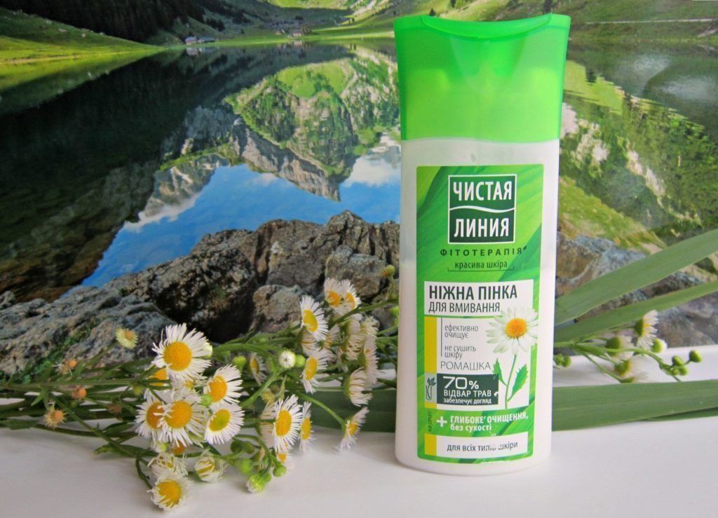 Fairfood nơi bạn tìm thấy những gì tinh túy của tự nhiên 