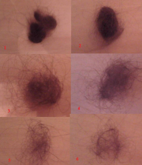 Fairfood nơi bạn tìm thấy những gì tinh túy của tự nhiên 