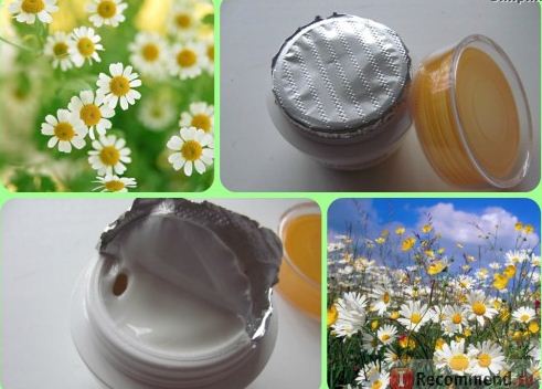 Fairfood nơi bạn tìm thấy những gì tinh túy của tự nhiên 