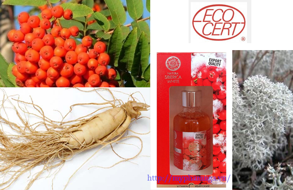 Fairfood nơi bạn tìm thấy những gì tinh túy của tự nhiên 