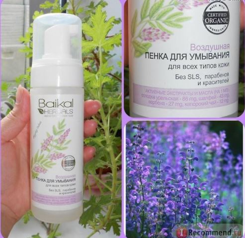 Fairfood nơi bạn tìm thấy những gì tinh túy của tự nhiên 