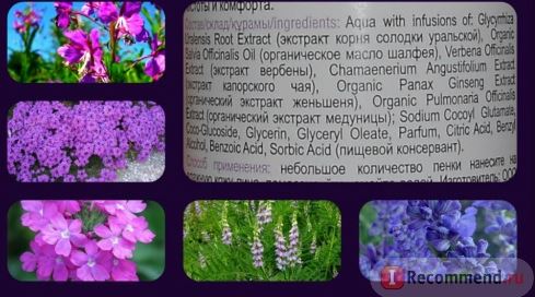 Fairfood nơi bạn tìm thấy những gì tinh túy của tự nhiên 