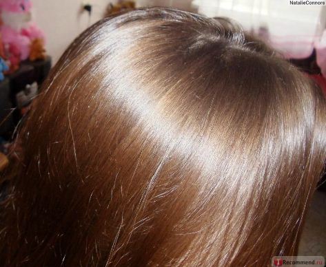 Fairfood nơi bạn tìm thấy những gì tinh túy của tự nhiên 