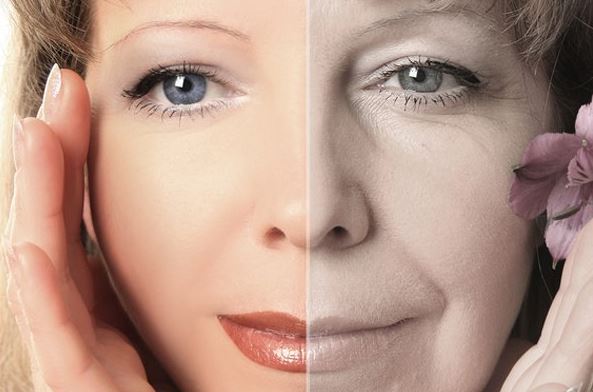 Fairfood nơi bạn tìm thấy những gì tinh túy của tự nhiên 