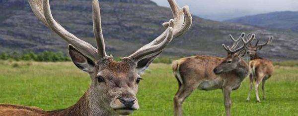 Fairfood nơi bạn tìm thấy những gì tinh túy của tự nhiên 