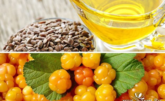 Fairfood nơi bạn tìm thấy những gì tinh túy của tự nhiên 