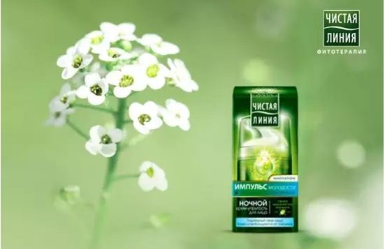 Fairfood nơi bạn tìm thấy những gì tinh túy của tự nhiên 