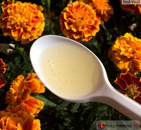Fairfood nơi bạn tìm thấy những gì tinh túy của tự nhiên 