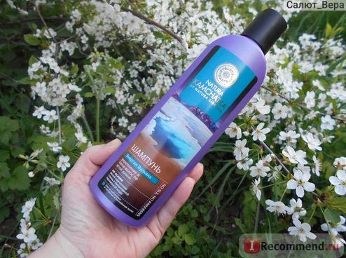 Fairfood nơi bạn tìm thấy những gì tinh túy của tự nhiên 