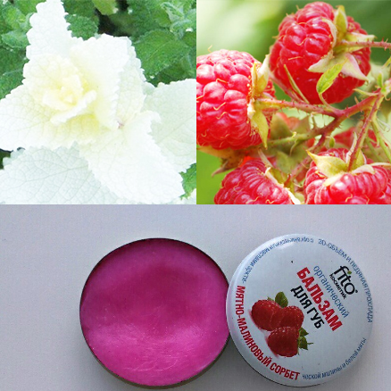 Fairfood nơi bạn tìm thấy những gì tinh túy của tự nhiên 