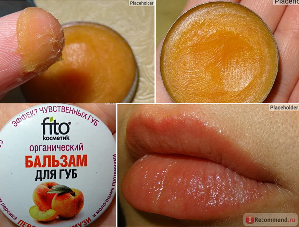 Fairfood nơi bạn tìm thấy những gì tinh túy của tự nhiên 