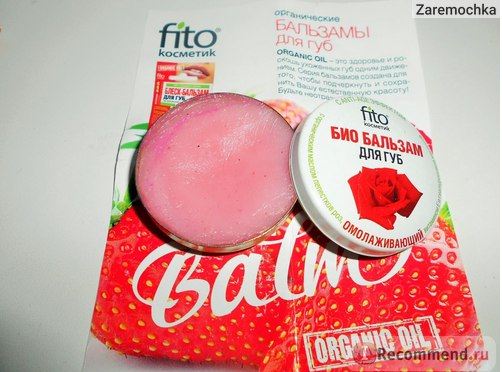 Fairfood nơi bạn tìm thấy những gì tinh túy của tự nhiên 