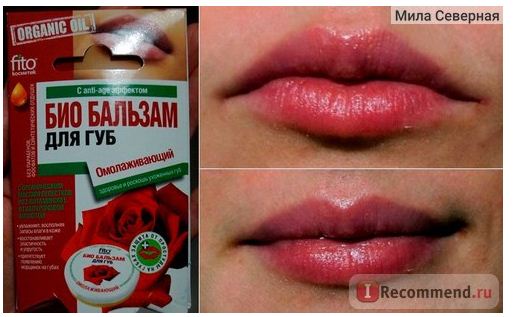 Fairfood nơi bạn tìm thấy những gì tinh túy của tự nhiên 