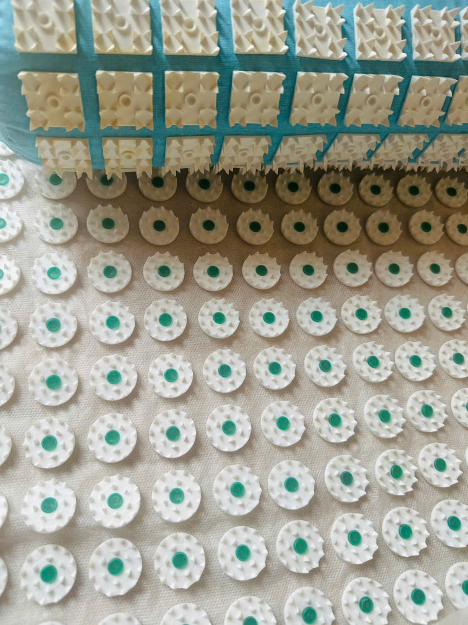 Tham gai cham cuu bam huyet biomag cua nga1 (3)