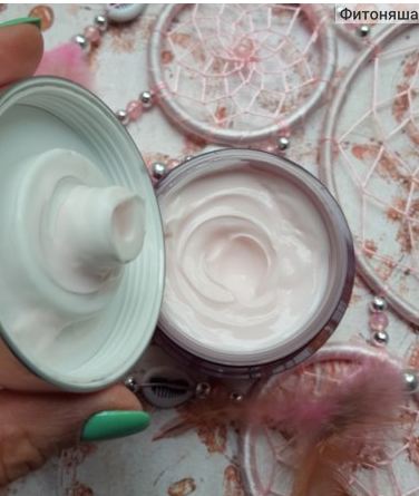 Fairfood nơi bạn tìm thấy những gì tinh túy của tự nhiên 