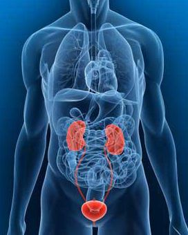 Fairfood nơi bạn tìm thấy những gì tinh túy của tự nhiên 