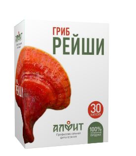 Fairfood nơi bạn tìm thấy những gì tinh túy của tự nhiên 