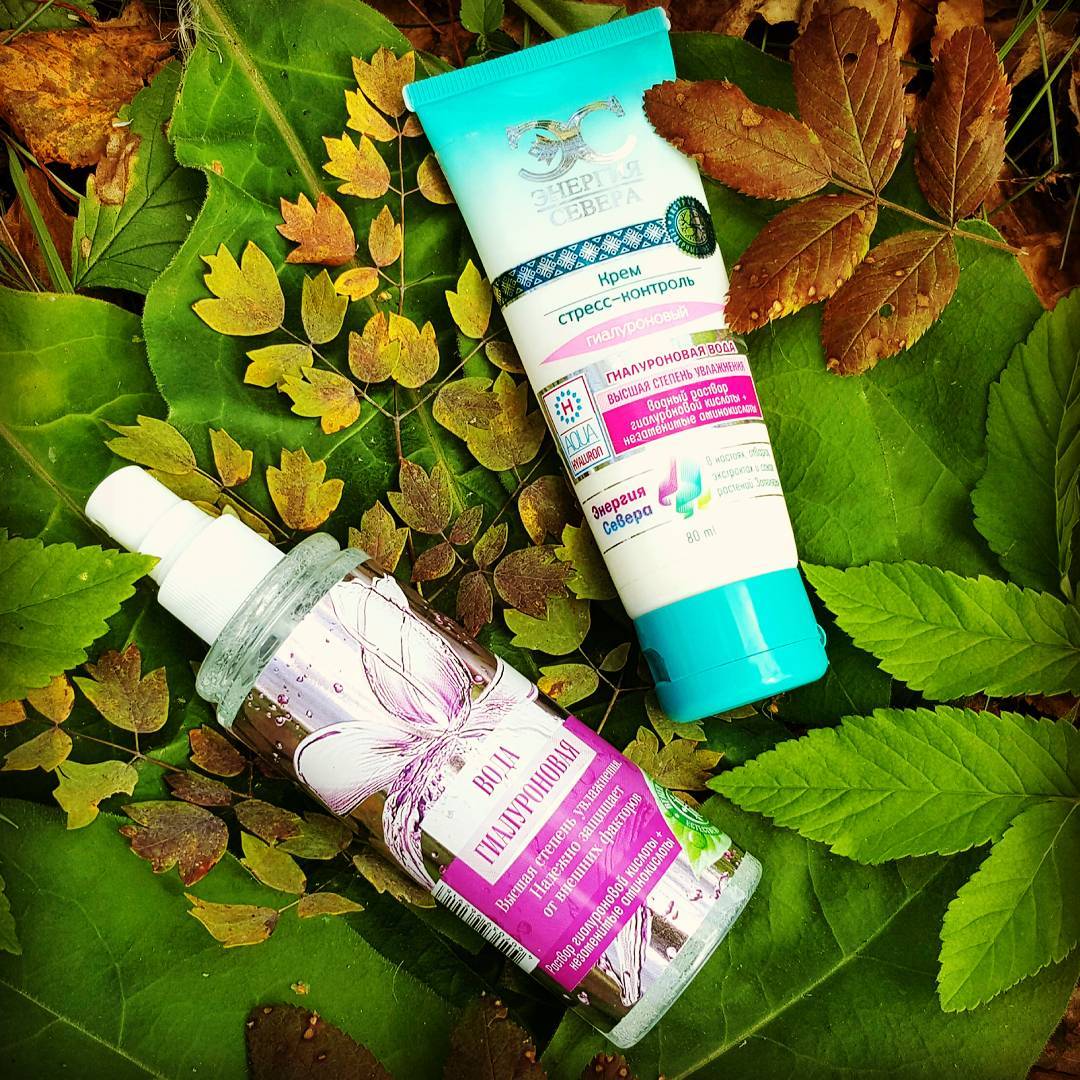 Fairfood nơi bạn tìm thấy những gì tinh túy của tự nhiên 