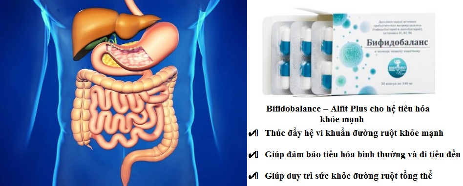 Bifidobalance – Alfit Plus cham soc he tieu hoa bo sung loi khuan