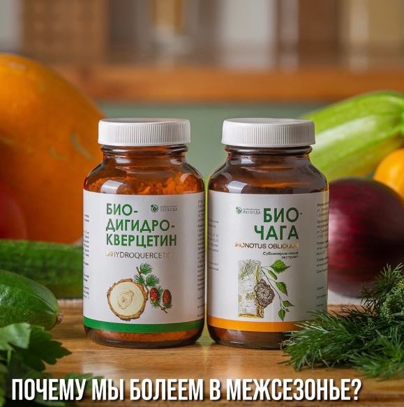 biochaga va bio dihydroquecertin