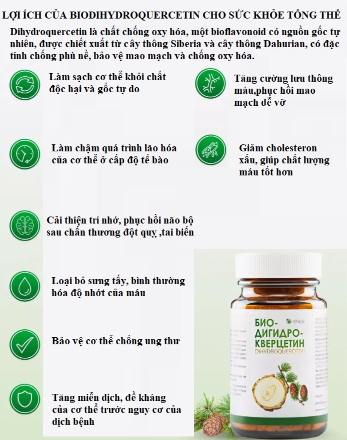 biodihydroquercetin tu thong cua nga1