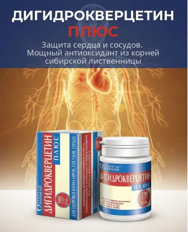 dihydroquercetin chong dot quy tim mach