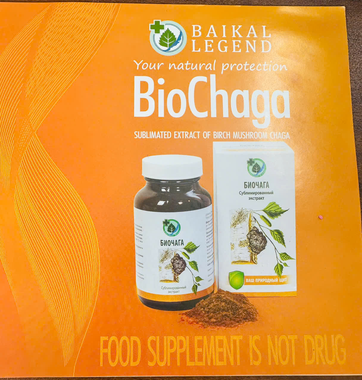 biochaga cho tieu duong, mo mau, thai doc co the.jpeg