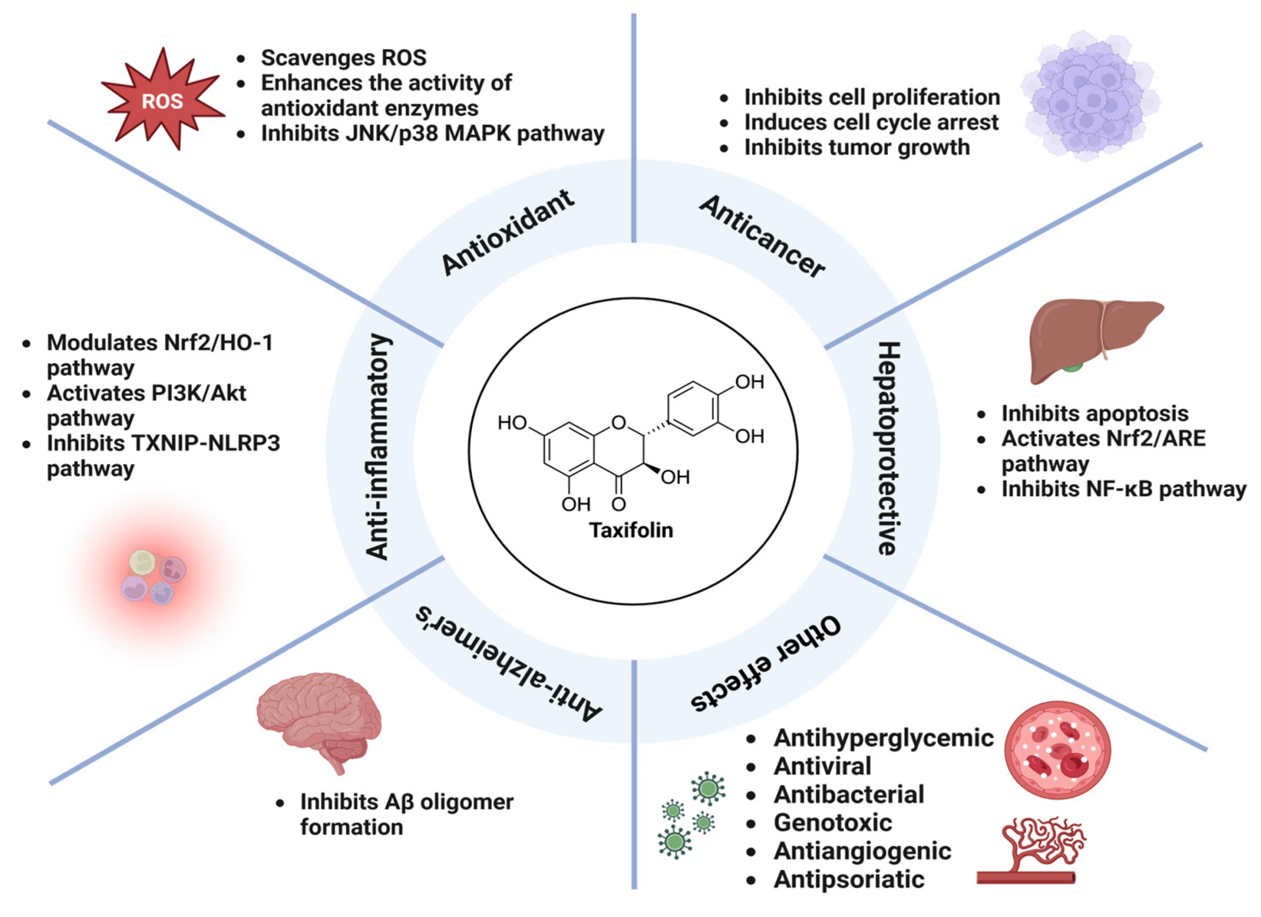 Fairfood nơi bạn tìm thấy những gì tinh túy của tự nhiên 