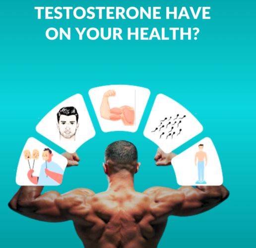 tang cuong sinh ly va suc khoe nam gioi