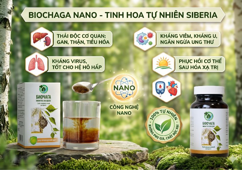 biochaga cua nga cho cac van de suc khoe, tieu duong mo mau, thai doc, roi loan tieu hoa, khang viem khang u