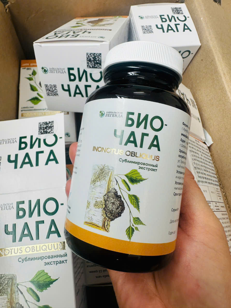 biochaga khang u, keo dai tuoi tho sau hoa xa tri