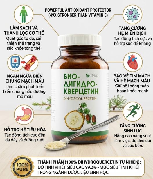 biodihydroquercetin cho cac van de ve mau, mao mach mau, chong oxy hoa manh